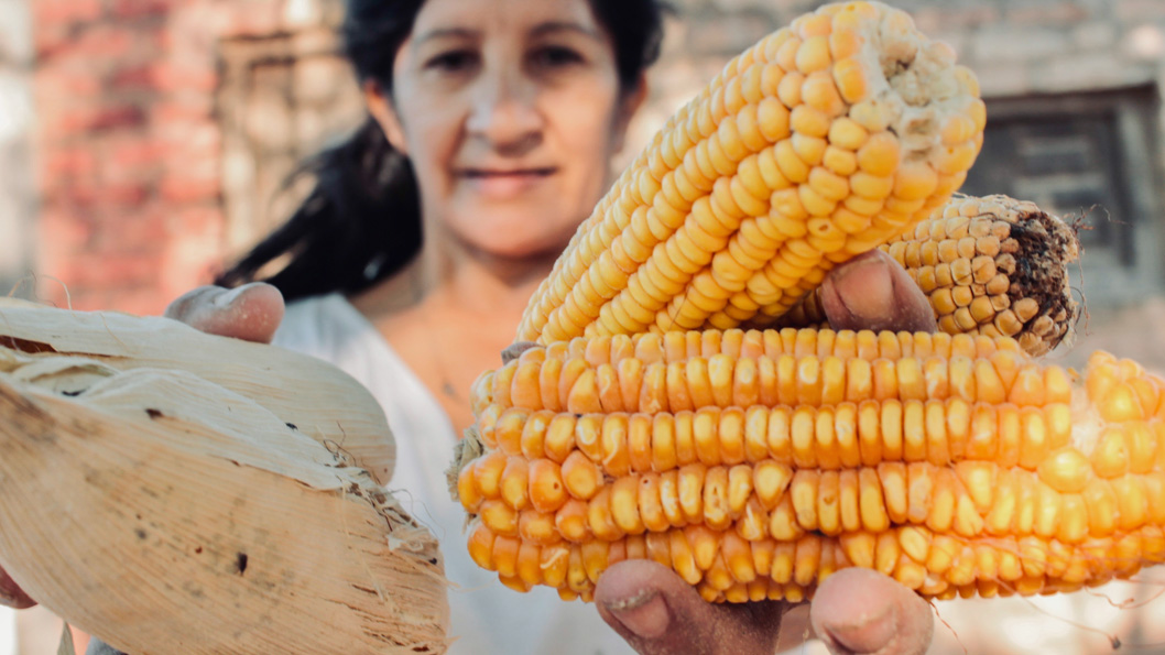 La importancia de la alimentación en tiempos de pandemia - Fundación  Plurales